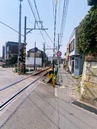 วันสบาย ๆ ที่ Kamakura เมืองริมทะเลใกล้โตเกียว