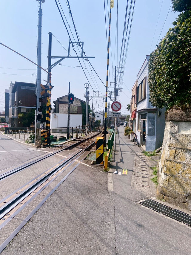 วันสบาย ๆ ที่ Kamakura เมืองริมทะเลใกล้โตเกียว