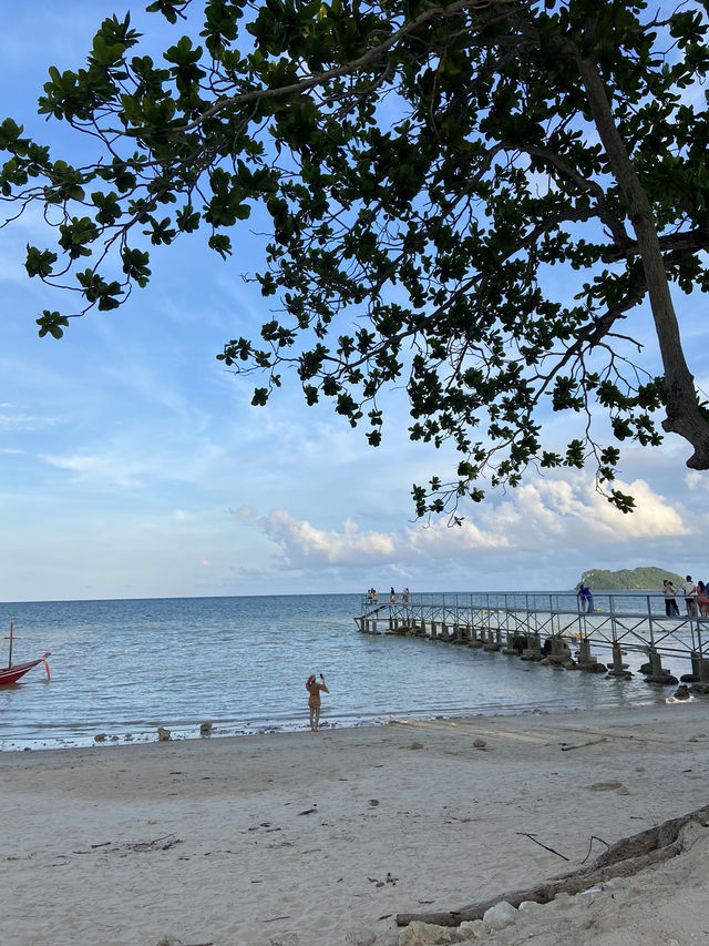 บ้านต้นไม้อวดชุม จ.ชุมพร🌊