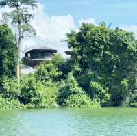 Nature’s Runway: A Stroll Along Mandai Boardwalk 🇸🇬
