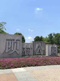 A Cherry-Filled Escape on a Budget – Gucun Park, Shanghai