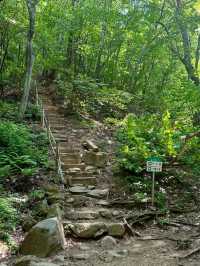 Waterfalls, Woods, and Zero Worries