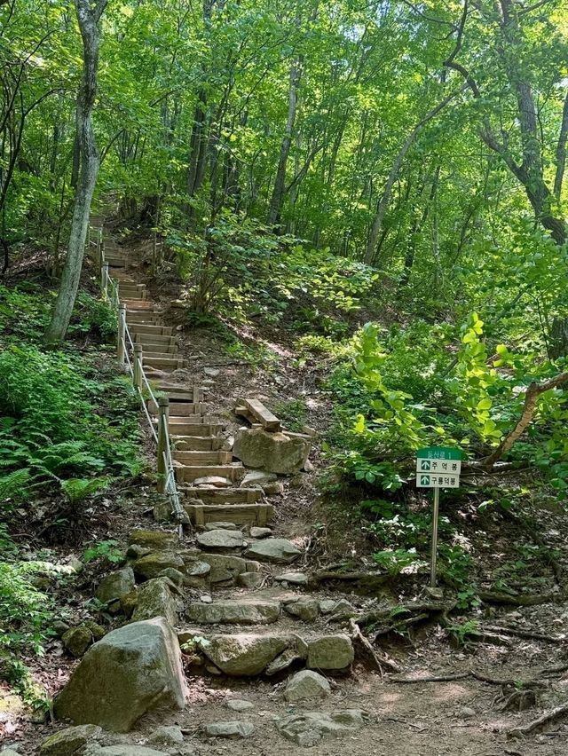 Waterfalls, Woods, and Zero Worries