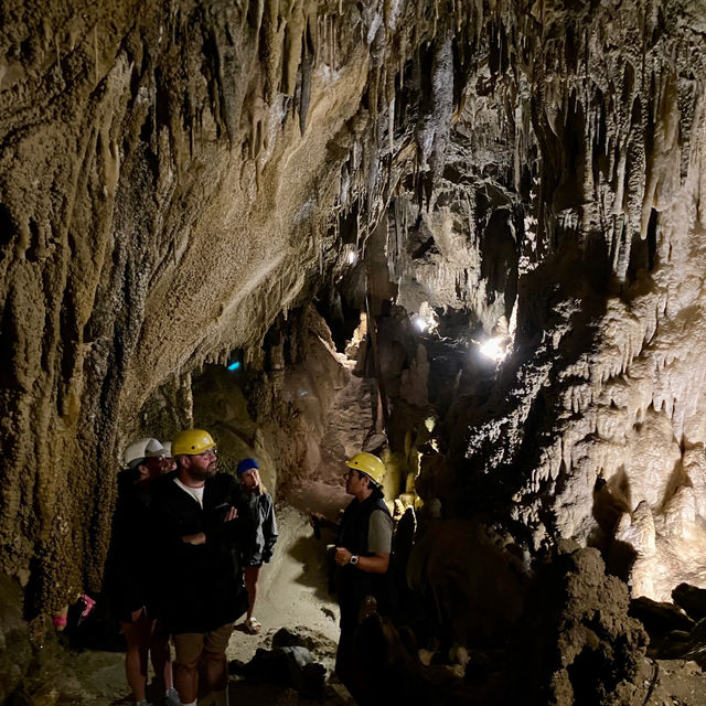 Ngarua Caves: Exploring a Super Underrated Underground Gem! 🦇✨