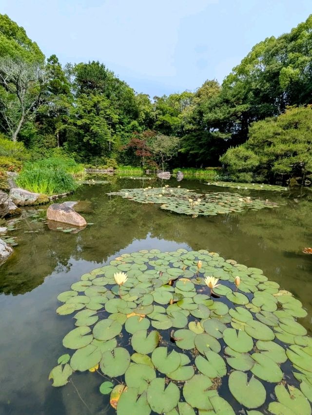 京都 | 平安神宮神苑，彷彿走入莫內的花園