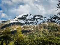 Summer Stroll Around Lake St. Moritz – Alpine Calm at Its Finest