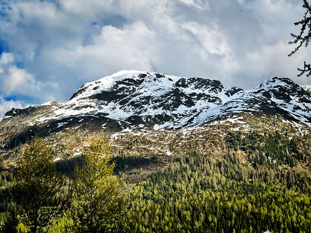 Summer Stroll Around Lake St. Moritz – Alpine Calm at Its Finest