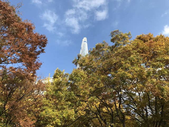 🍁 ใบไม้เปลี่ยนสีที่ทะเลสาบซอกชน