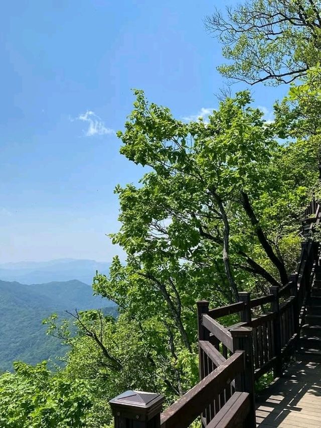 Cheonmasan’s Chill Adventure