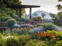 Kew Gardens – A Living Tapestry of Global Botany in London