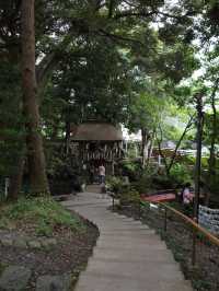 📍**【茨城・日立 泉神社（龍泉神社）】清泉と“龍の宿る木”が生むパワースポットで心を潤す旅**