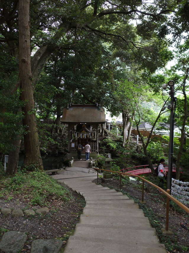 📍**【茨城・日立 泉神社（龍泉神社）】清泉と“龍の宿る木”が生むパワースポットで心を潤す旅**