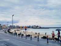 제주도 바다 여행코스 추천🌊