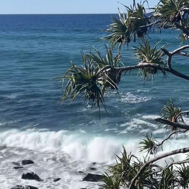 🌅 是誰又能拒絕Burleigh heads呀！！