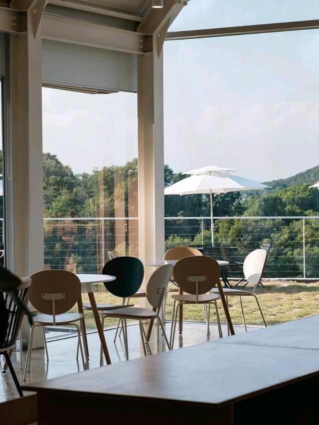 cafe mayday 