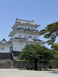 🏯戦国ロマンと絶景が交差する「小田原城」で歴史旅を満喫
