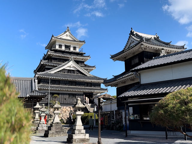 🏯 Nakatsu Castle – A Serene Glimpse into Feudal Japan