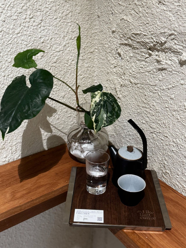 💚🫧부산대 블루리본 라이크댓 커피🫧💕