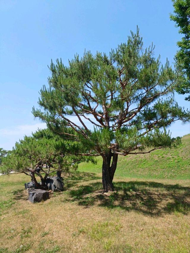 선사시대의 숨결이 깃든 산책길