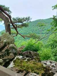 작은 산속 탐험