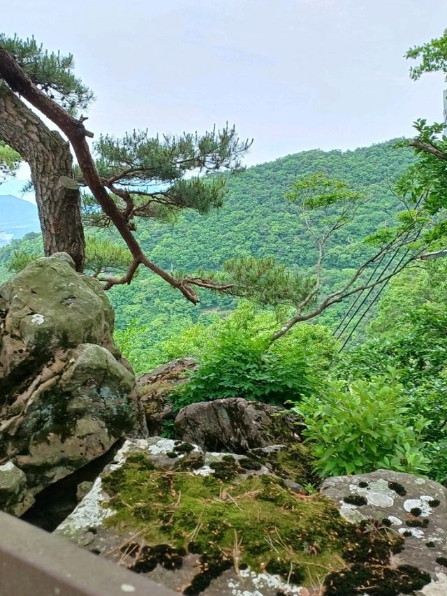 작은 산속 탐험