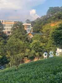 再入住廣東版小桂林，清遠藏得太深了