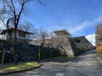 🏞️ Strolling Through History – Morioka Castle Site Park (Iwate Park)