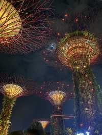 Supertree Grove at Night: Where Singapore Glows Like a Sci-Fi Movie
