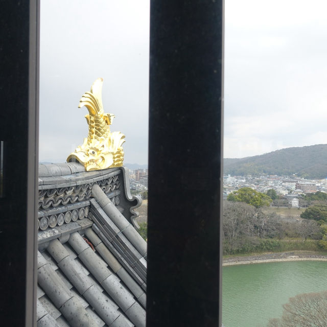 🏯 Okayama Castle – A Peaceful Climb to a Panoramic View