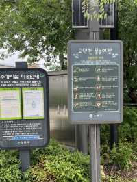 고덕천 산책과 이케아 쇼핑