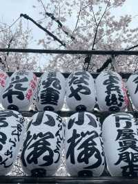 Sensoji temple 