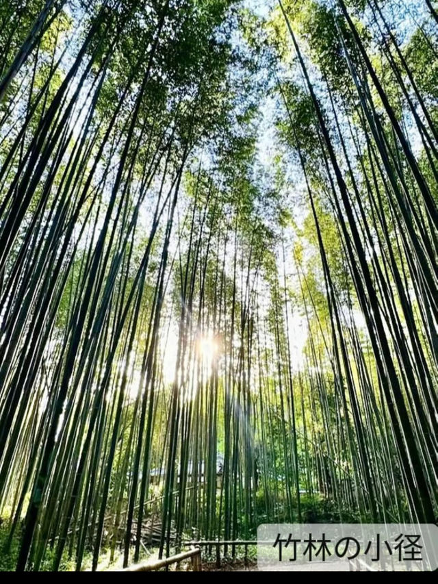 [京都]嵐山おすすめ7選✨コスパタイパ最強