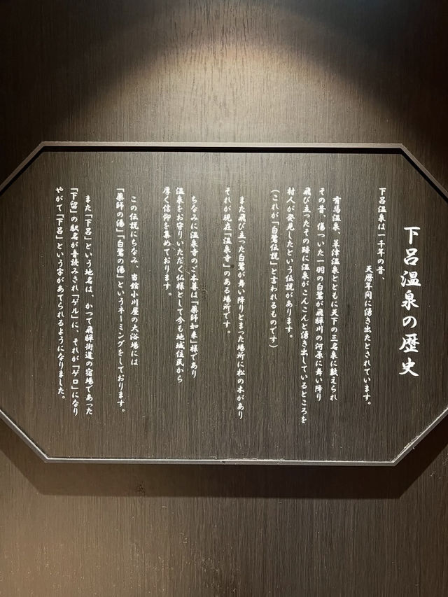 【日本三名泉のひとつ】下呂温泉で心も体もととのう旅  