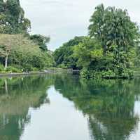 A Green Getaway in the Heart of the City 🇸🇬