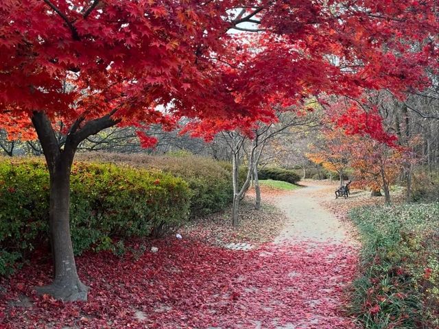 Green Escape at Daegu Arboretum