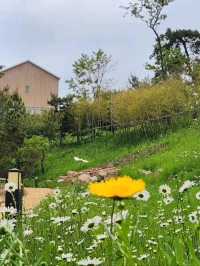 Cutest Farm Day Ever at Sanghafarm