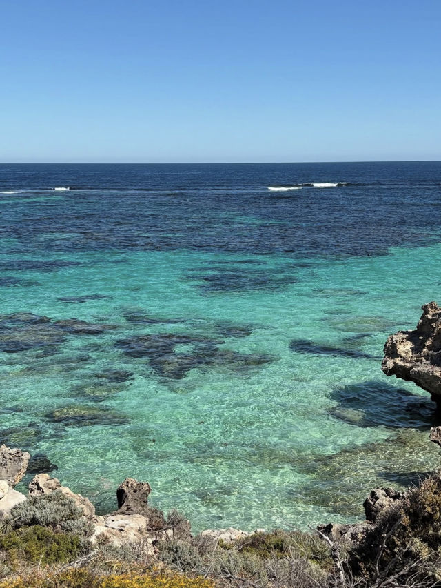 🌟【ロットネスト島（Rottnest Island）】ワールド最高の笑顔と大自然が待つ島 