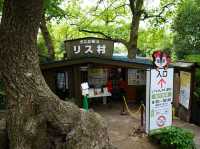 🐿️ ぎふ金華山リス村｜ロープウェー山頂でリスとふれあい体験！