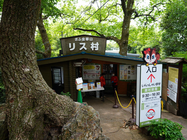 🐿️ ぎふ金華山リス村｜ロープウェー山頂でリスとふれあい体験！