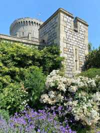 900年以上の歴史が息づく、イギリスの象徴的な城⛪ #WindsorCastle #歴史探訪