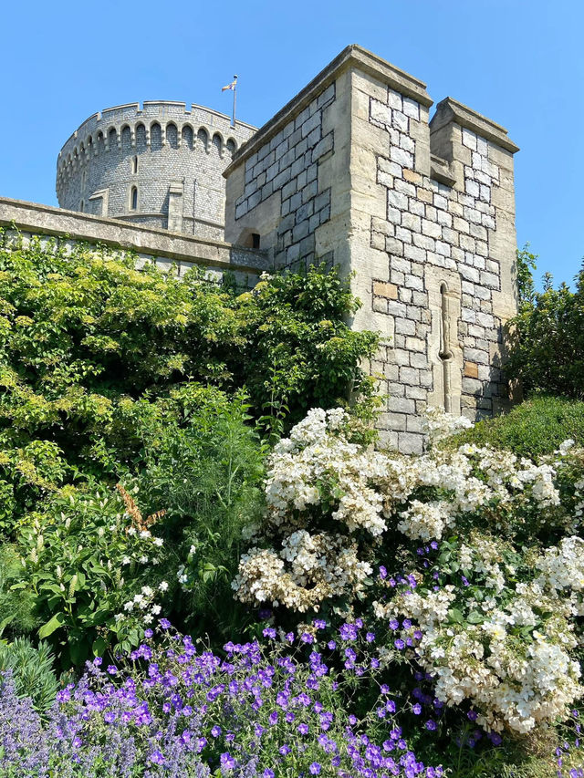 900年以上の歴史が息づく、イギリスの象徴的な城⛪ #WindsorCastle #歴史探訪