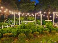 Dawn approaches with full bloom of hydrangeas