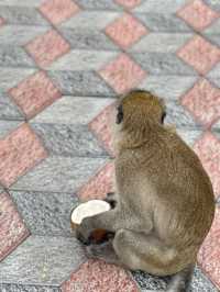 KL Trip Highlight: Batu Caves, Without the Muscle Cramps