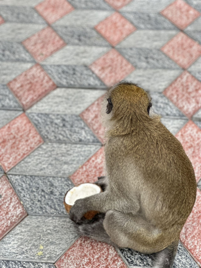 KL Trip Highlight: Batu Caves, Without the Muscle Cramps