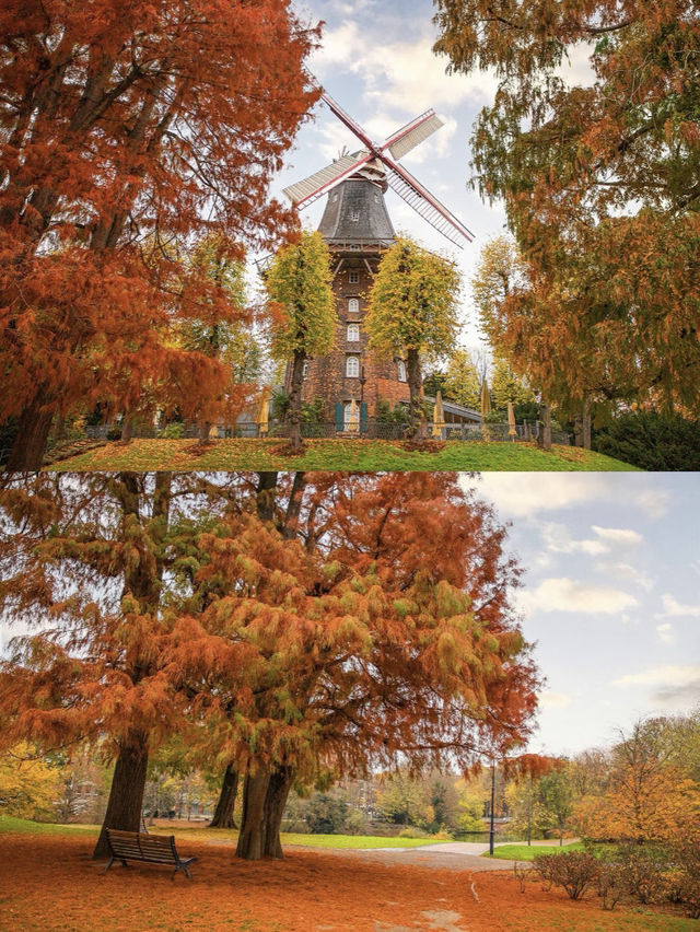 童話之路🍂金秋德國之旅的開始