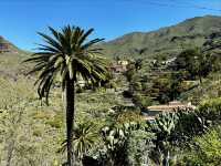 Tenerife