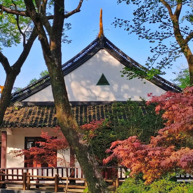 ～廣豐公園～水墨畫美景～