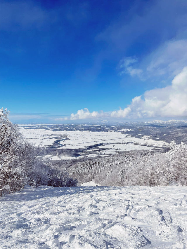 【北海道】カムイスキーリンクス