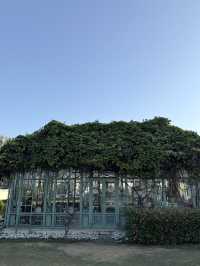 🌿 รีวิวเที่ยวเขาใหญ่ 1 วัน ฟีลต่างประเทศแบบใกล้กรุ