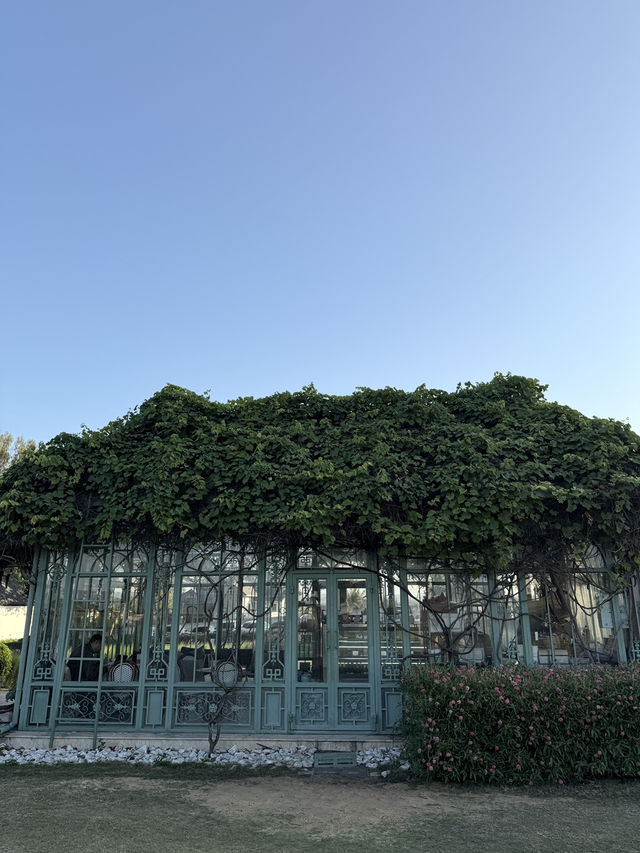 🌿 รีวิวเที่ยวเขาใหญ่ 1 วัน ฟีลต่างประเทศแบบใกล้กรุ